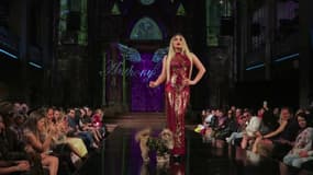 Fashion week de New York: voici une collection... pour chiens