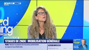 Véronique Blanc (région académique IDF) : Stage de 2nde, mobilisation générale - 25/03