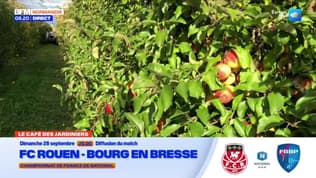 Café des Jardiniers: comment conserver ses fruits de saison?