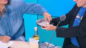 Les aliments du futur : le riz sans riz sera à base de konjac