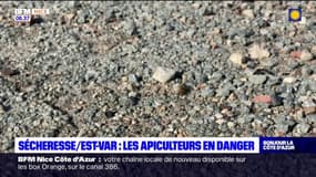 Nice: deux blessés après des coups de feu dans le quartier des Moulins