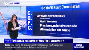 Accident impliquant Pierre Palmade: comment vont les victimes?