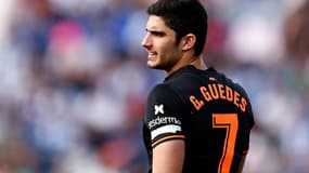 Gonçalo Guedes