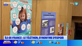 Île-de-France: coup d'envoi du Téléthon, des milliers d'animations prévues ce week-end