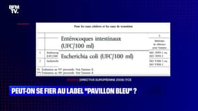 Peut-on se fier au label "Pavillon bleu" ? - 30/06