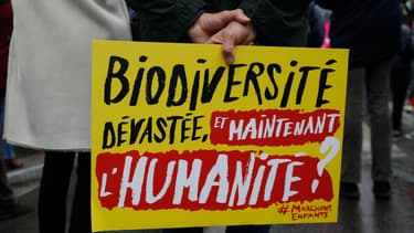 Un panneau d'un opposant au projet de loi bioéthique ce dimanche à Paris (photo d'illustration)
