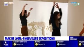 Lyon: quatre nouvelles expositions au musée d'art contemporain