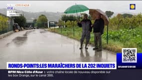 Alpes-Maritimes: les maraîchers inquiets de la construction de ronds-points sur la 202 bis