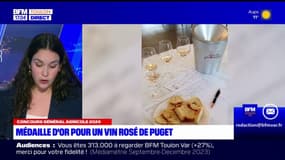 Concours général agricole 2024: médaille d'or pour un vin rosé de Puget