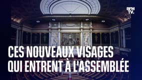 Ces nouveaux visages qui entrent à l'Assemblée nationale