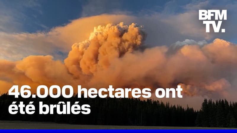 L'Ouest des États-Unis frappé par de violents incendies depuis un mois