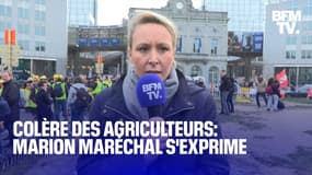 Colère des agriculteurs: l'interview de Marion Maréchal depuis Bruxelles