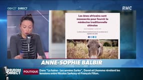 Des ânes massacrés pour le progrès de la médecine 