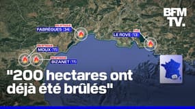 Bouches-du-Rhône, Aude... Plusieurs incendies en cours sur l'arc méditerranéen  