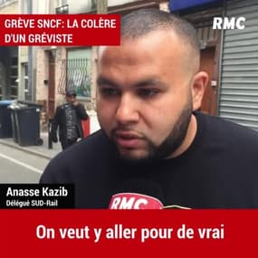 Grève SNCF: "Ca suffit cette mascarade de la grève perlée, on a envie d'une vraie grève, pour de vrai"