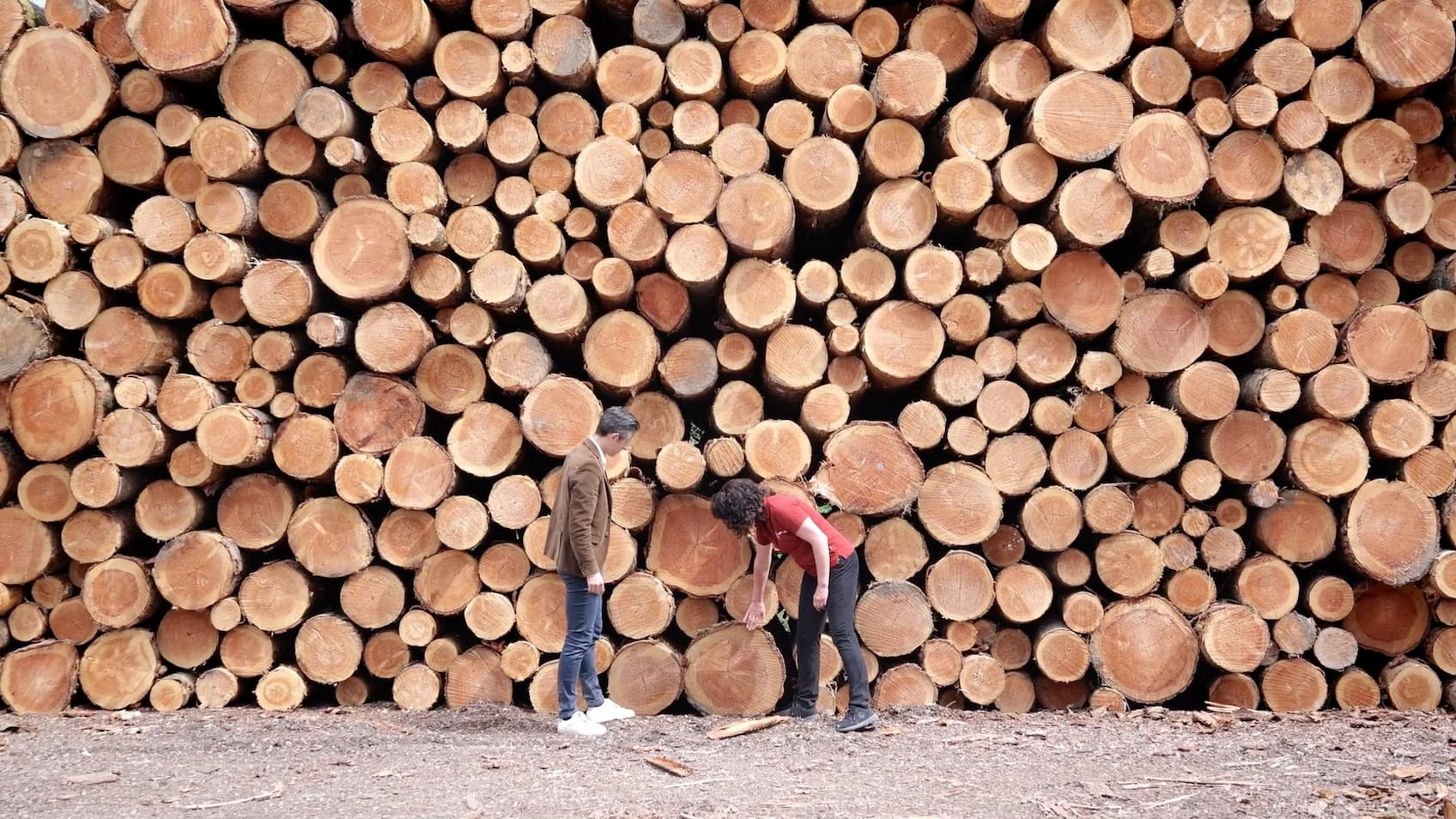 BOIS DE CHAUFFAGE: DE 92 À 117 EUROS, VOICI LE PRIX D'UN STÈRE DE BOIS SELON VOTRE RÉGION