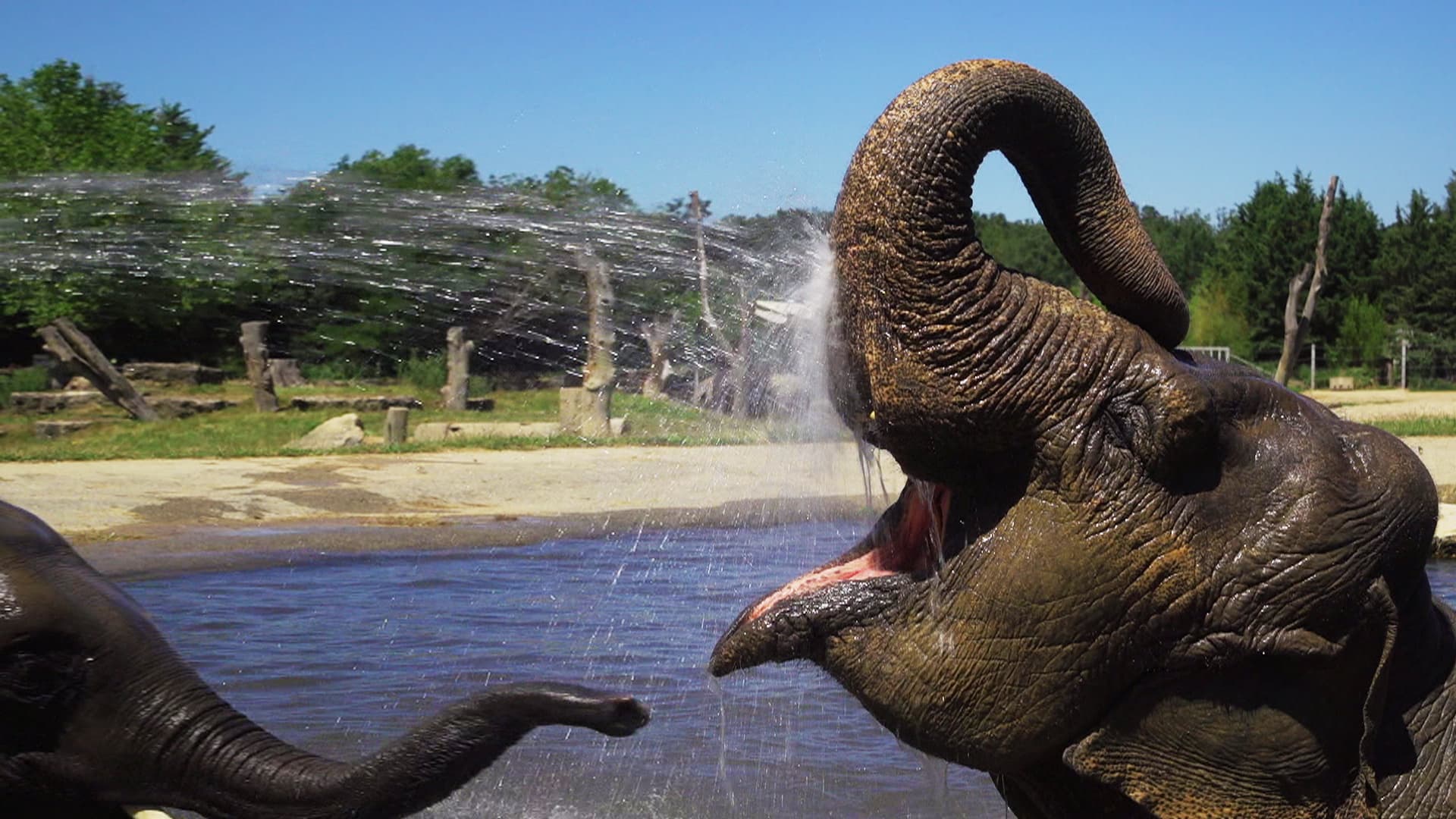 LE PAL : AU COEUR DU ZOO LE PLUS INSOLITE DE FRANCE