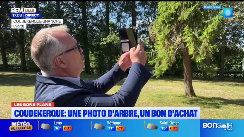 Coudekerque-Branche: photographiez des arbres remarquables et gagnez un bon d'achat