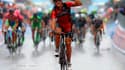 Philippe Gilbert