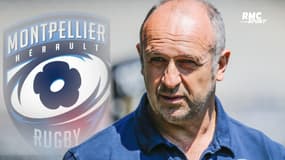 Top 14 : 2e de la saison régulière, le MHR a "un an d'avance" estime Saint-André