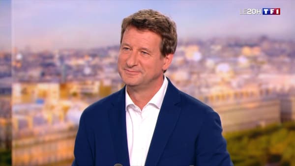 L'eurodéputé EELV Yannick Jadot le 30 juin 2021 sur le plateau de TF1. L'eurodéputé EELV Yannick Jadot le 30 juin 2021 sur le plateau de TF1.