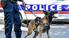 Un maître-chien de la police nationale et son chien à Lille, en octobre 2018