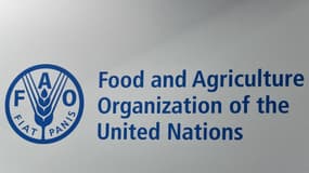 Le logo de l'Organisation des Nations unies pour l'alimentation et l'agriculture (FAO).
	
