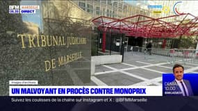 Marseille: un malvoyant en procès contre Monoprix qui avait refusé son chien