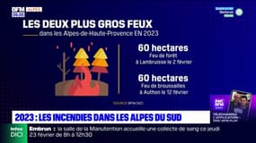 Alpes du Sud: le point sur les incendies depuis le début de l'année 2023