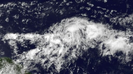 La tempête tropicale Danny photographiée le 19 août 2015 par un satellite géostationnaire de l'Agence américaine d'observation océanique et atmosphérique (NOAA) au-dessus de l'océan Atlantique