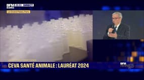 Marc Prikazsky, président-directeur général de Ceva Santé Animale, remporte le BFM Award des Territoires