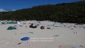 Une plage couverte de déchets sur l'île Henderson