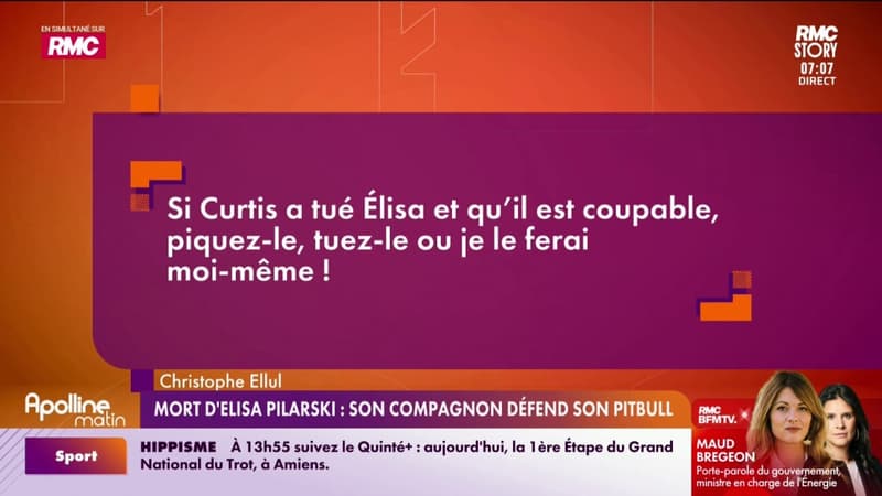 Mort d'Élisa Pilarski : son compagnon défend son pitbull