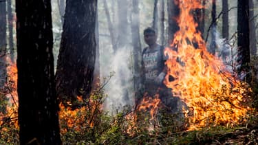 Feux de forêt en Sibérie, 28 juillet 2015 - Petr Shelomovskiy (photo d'illustration)