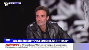 Anthony Delon: "Mon petit frère a vécu dans une famille où il n'y en avait que pour sa sœur (...) C'est très injuste pour lui"