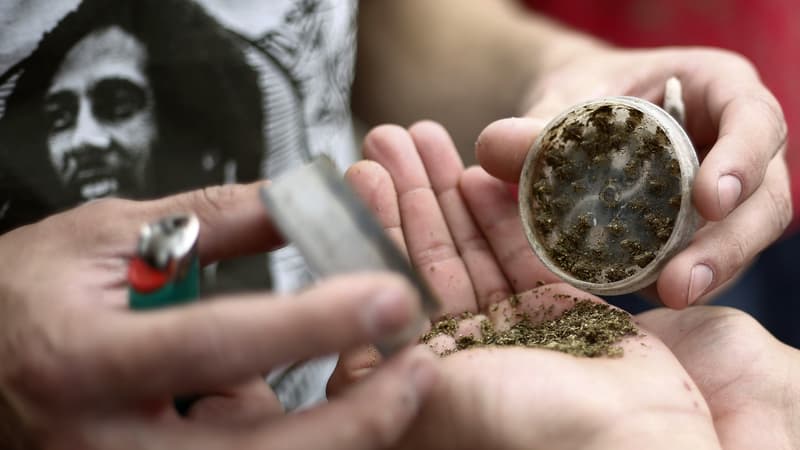 Image d'illustration