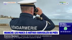 Manche: les parcs à huître surveillés de près durant les fêtes de fin d'année