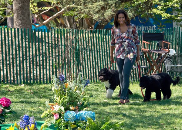 Michelle Obama avec Bo et Sunny en 2014 Michelle Obama avec Bo et Sunny en 2014