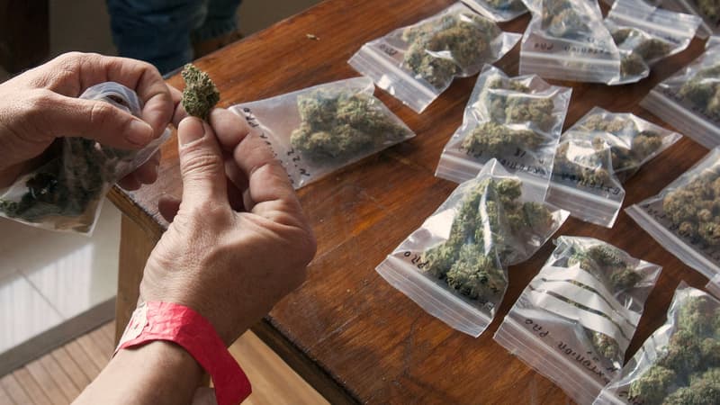 L'application Eaze permet de se faire livrer du cannabis aux Etats-Unis (photo d'illustration).