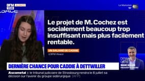 Dettwiller: deux offres de reprise déposées pour le fabricant Caddie 