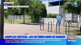 Coups de couteau à Illkirch-Graffenstaden: l'enquête se poursuit, les victimes hors de danger 