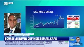Le journal des Small et Mid Caps : Bourse, le réveil de l'indice small caps - 11/03