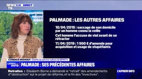 Usage de stupéfiants, victime de tentative d'extorsion de fonds, fausse accusation de viols: les autres affaires dans lesquelles a été cité Pierre Palmade