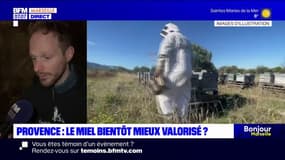 Le miel de Provence bientôt mieux valorisé grâce à une obligation européenne