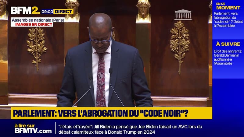"Cette proposition de loi ne prévoit ni d'effacer l'histoire": l'abrogation du Code noir, examinée à l'Assemblée