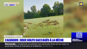 Calvados: deux golfs saccagés, un collectif écolo revendique l'action
