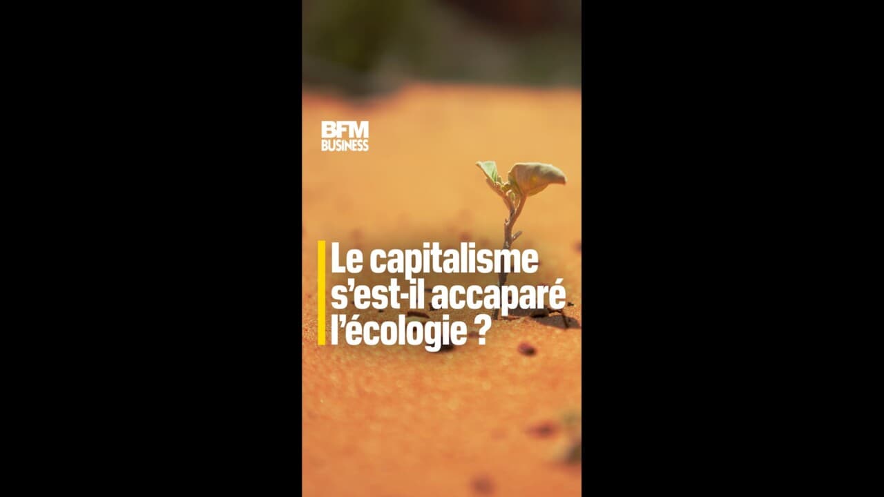 Remplacer Le Capitalisme Par Une Bonne Sieste Comment le capitalisme s'est accaparé la transition écologique