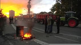 Crise des éleveurs: la mobilisation se poursuit partout en France