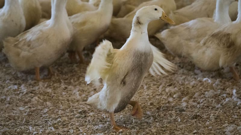 Photo d'illustration