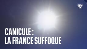 Canicule: la France suffoque 